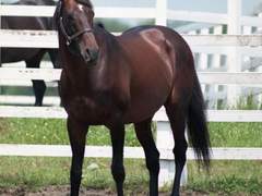 티엠 오페라 오 연재[6]