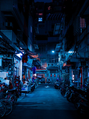 마이시크릿퍼피