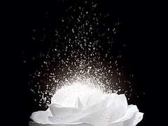 MIU404 시마 카즈미 X 하나자와 나츠미