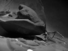 그 다음은, 그리고 또 그 다음?