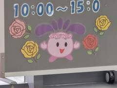 D+167 하루만에 귀국 준비 끝내는 여자 ✌