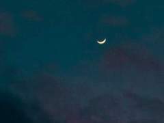 서 도겸/XY/사망자