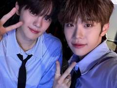 연예계 김똥개들 02