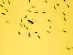 우리는 현실적인 주식 이야기가 필요하다