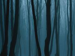 Tᵤᵣₙ ₐᵣₒᵤₙd