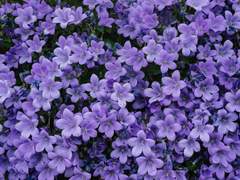 미련쟁이를 위하여 (2)