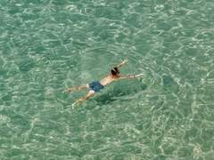 사과(사랑의 과정)