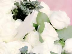 The 50 days we spent together.