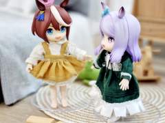 테이맥테이 넨비츠 사진 백업