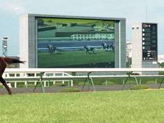 티엠 오페라 오 연재[14]