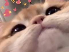 [8월 10일 확인] 예스24 예사 새로운 직링 (자세한 설명 O)