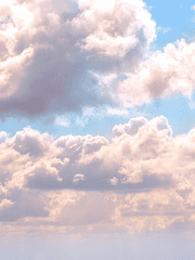 드림 서사 정리