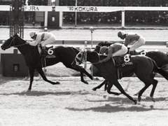 티엠 오페라 오 연재[15]