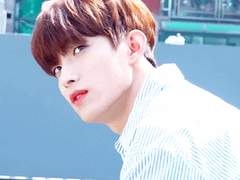 [윤웆] forsythia 05