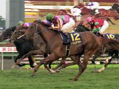 티엠 오페라 오 연재[20]