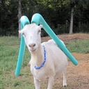 나의 좆같은 썰