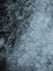 이바른 트위터 백업