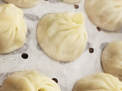 먼 미래에 유호랑 놀아주는 황구