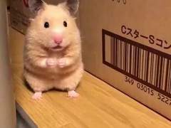 마지막 첫사랑 1