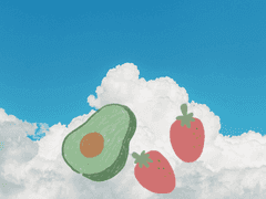 아보카도딸기요뎡