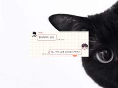 서태웅 자타 (1~49)