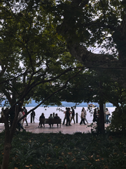 쥐 중국 살이 사진