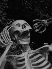 내가 폰프아라니