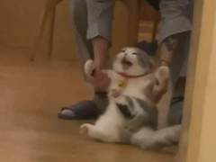 [8월 14일 확인] 인터파크 자동호출코드 직링 (대기 번호 빨리 받는 법) (자세한 설명 O)