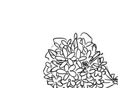 중사가 된 공룡