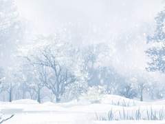 화산귀환 드림/장포