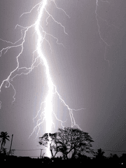 내가 이혼한 S급