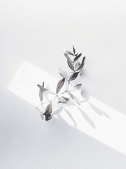 순백[純白] 가이드 생존기