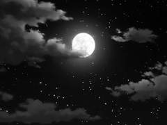 전하지 못할 술주정.