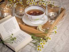 [도미오버] 진료비는 기억입니다.