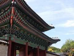 결혼은 하고 싶으면 하고 하기 싫으면 안 해도 돼.