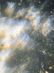 심장 소리가 들리면 하트를 그려줘