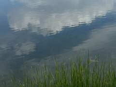 비가 오면 투명해지는 상상을 한다