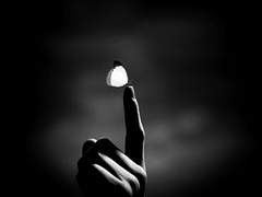 글로리어스 호텔에 오신 것을 환영합니다