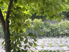 [마루의 편지] 세 번째