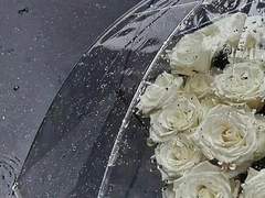 우리가 그 여름에 버리고 온 것.