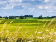 시골 이야기!(1화)