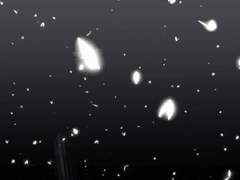 타마코 마유미 / 18 / XX