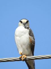 어떻게 살아남지?