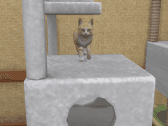 인어 세실의 험난한 어른되기 4