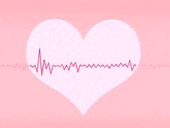 공식 앤관 (상시 추가)