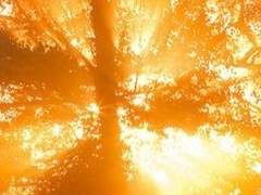 룩스 17 XY 벨레리움