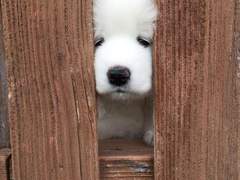 김여주 ! 엔시티로 출근했습니다~++++