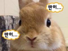 지인 몰래 신청하기