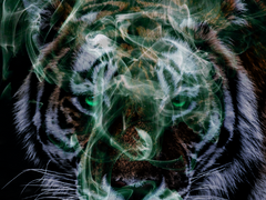 [당보청명] 창귀(倀鬼) 10