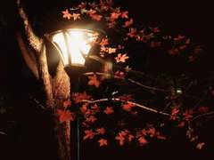 [명헌태섭] 불법 속도의 사랑 여행 3